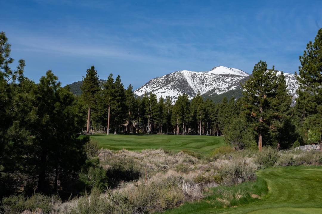 We're officially less than a month away from spring, which means our golf season is right around the corner! Before you know it we'll be back on our beautiful Jack Nicklaus golf course. ⛳