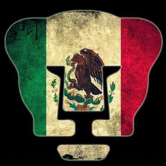 Infeinmedia's tweet photo. Lābarum pātrius #DíaDeLaBandera https://t.co/np5UDprmG7