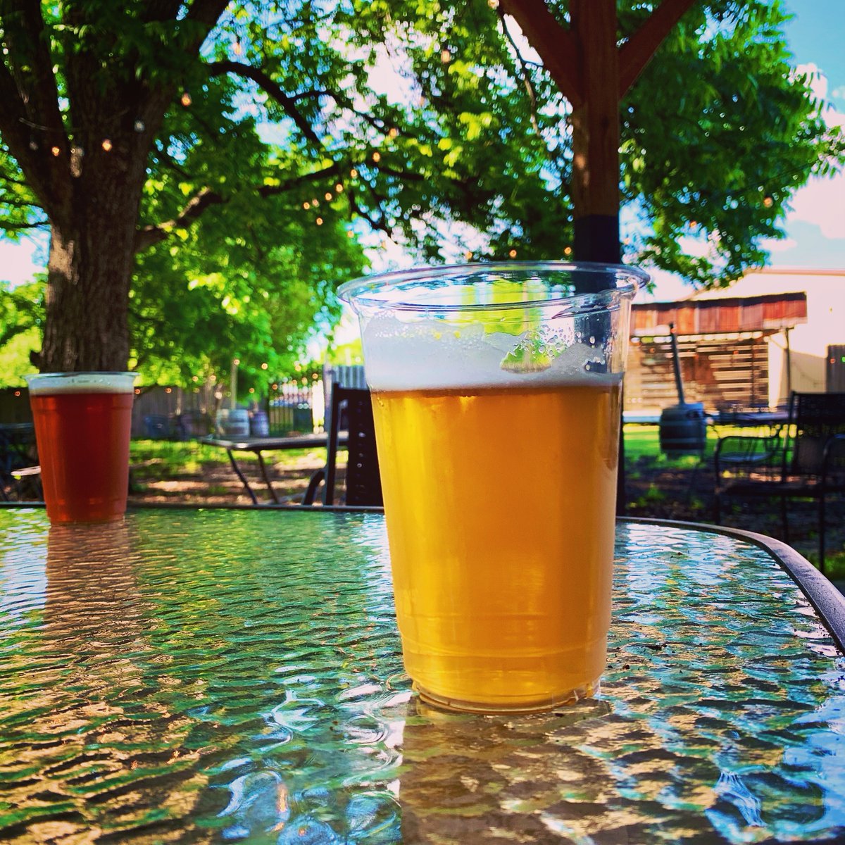 Drink beer outside! Our backyard beer garden is the perfect place to sip and soak up some sunshine!