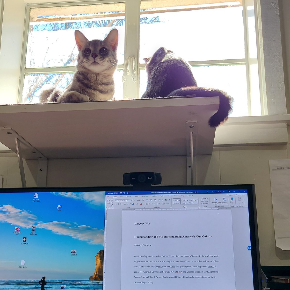 Wed, Feb 24 - Book Day #18-Day off from book to revise chapter on "Understanding & Misunderstanding America's Gun Culture." Tightened it up & added 700 words.-New cats are starting to get the hang of being writing accountability partners. #writingaccountability  #CatsOfTwitter