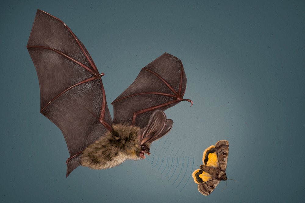 Clara Prieto tweet media