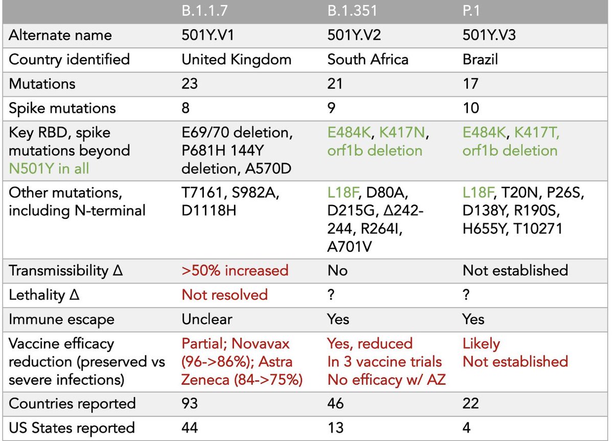 Hier der neueste Stand zum Wissen über drei wichtigsten SarsCoV Varianten, von ⁦<a href="/EricTopol/">Eric Topol</a>⁩ . Wahrscheinlich wird bei uns B117/UK die 3. Welle bestreiten. Wenn wir Glück haben impfen wir schnell genug um gefährliche Kombivarianten wie B1.427 Kalifornien zu vermeiden.