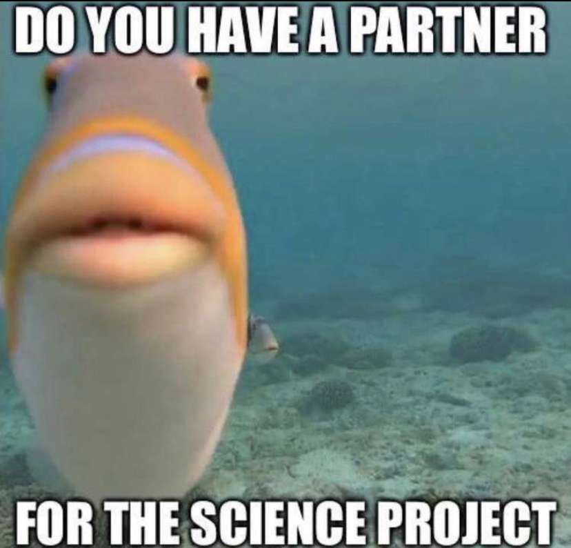 MIR-MIR25 tweet media