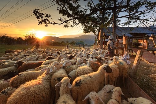 CalvarySGF's tweet photo. The second period of 40 years in Moses’ life had been spent in the quiet splendors of the wilderness, and his shepherd occupation had prepared him for the neatness necessary to lead the people of God. https://t.co/OscQAQrYN0