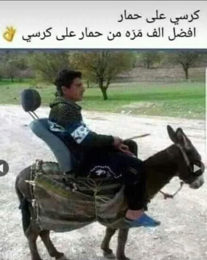 9airaf's tweet photo. افهم يافهيم https://t.co/pxDaj22lPd