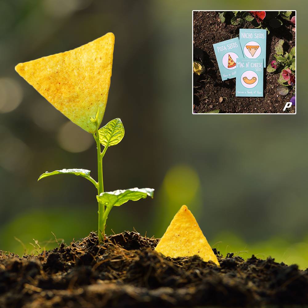 ProgressiveGet's tweet image. It's #NationalTortillaChipDay!
We're not patient enough to grow our own, but they're great for munching on a long road trip. Call us for a quote before you are covered in crumbs.
1-866-867-1995 progressiveauto.agency #tortillachipday