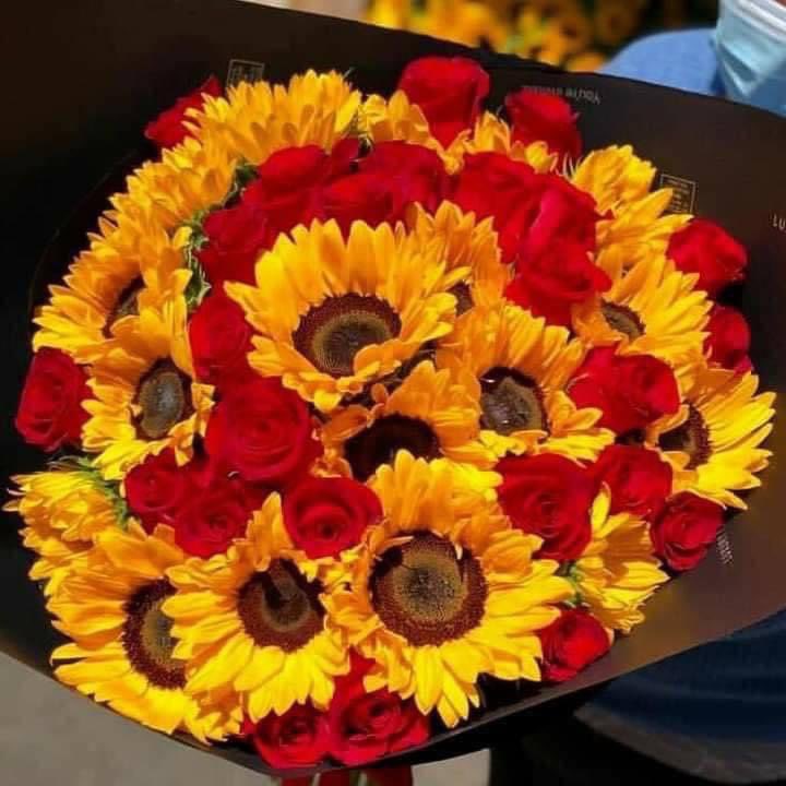 lexestep's tweet photo. roses and sunflowers 🌹🌻 https://t.co/8Yl9GUbxSE