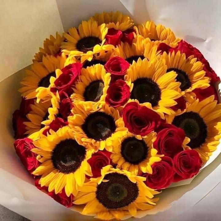 lexestep's tweet photo. roses and sunflowers 🌹🌻 https://t.co/8Yl9GUbxSE