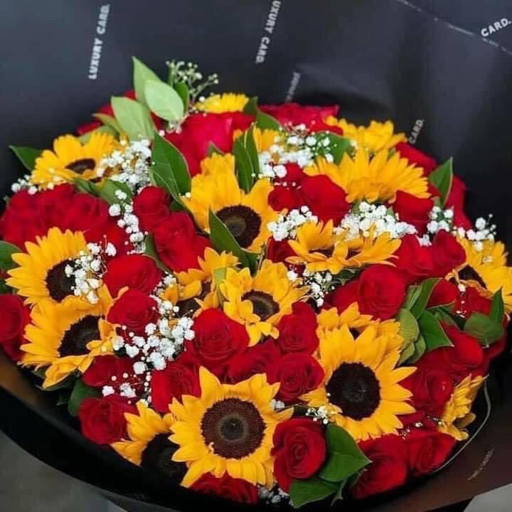 lexestep's tweet photo. roses and sunflowers 🌹🌻 https://t.co/8Yl9GUbxSE
