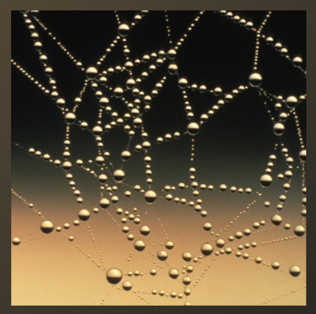 chriswatts1965's tweet photo. #NowPlaying "Spider's Silk (Kiffie cover)" by Metafem on tonight's #newmusic #indie #InTheMoog Show on @NCCRradio
#synth #electronicmusic
#Metafem @Kiffie8
#ListenLive: https://t.co/vItQkb7H2o or App eg #TuneIn https://t.co/07hTxmcnk4