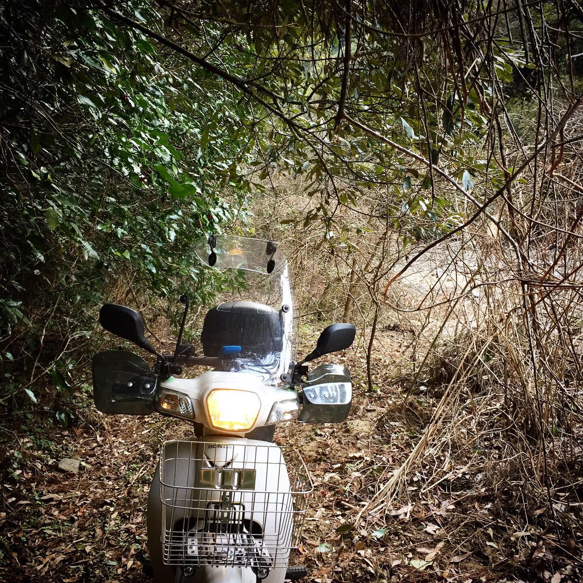 ニコフランド 地元のトライアルの聖地を 40年ぶり にカブ で巡礼 荒廃し影も形もない状態 涙 でしたが イイ道を発見 次回はmtbで新道開拓 ニコフランド 本日の営業時間 大阪 寝屋川店 3 2火まで臨時休業 宮崎 都城店 10 19時 店長在