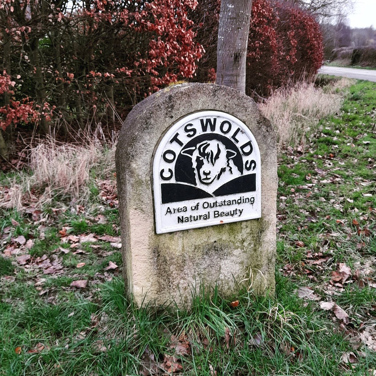 Come &amp; visit #ilmington #cotswoldtaxiservice #callcookieprivatehire #cotswoldtours #taxi