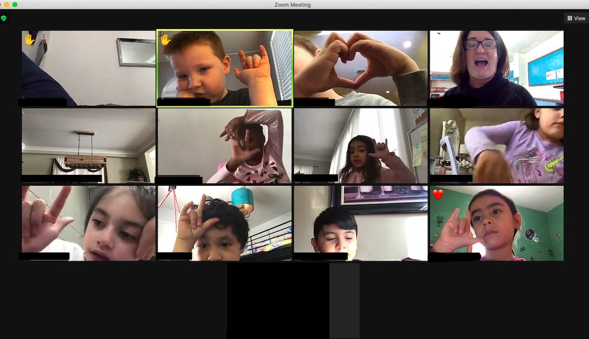 Lynne DesLauriers tweet media