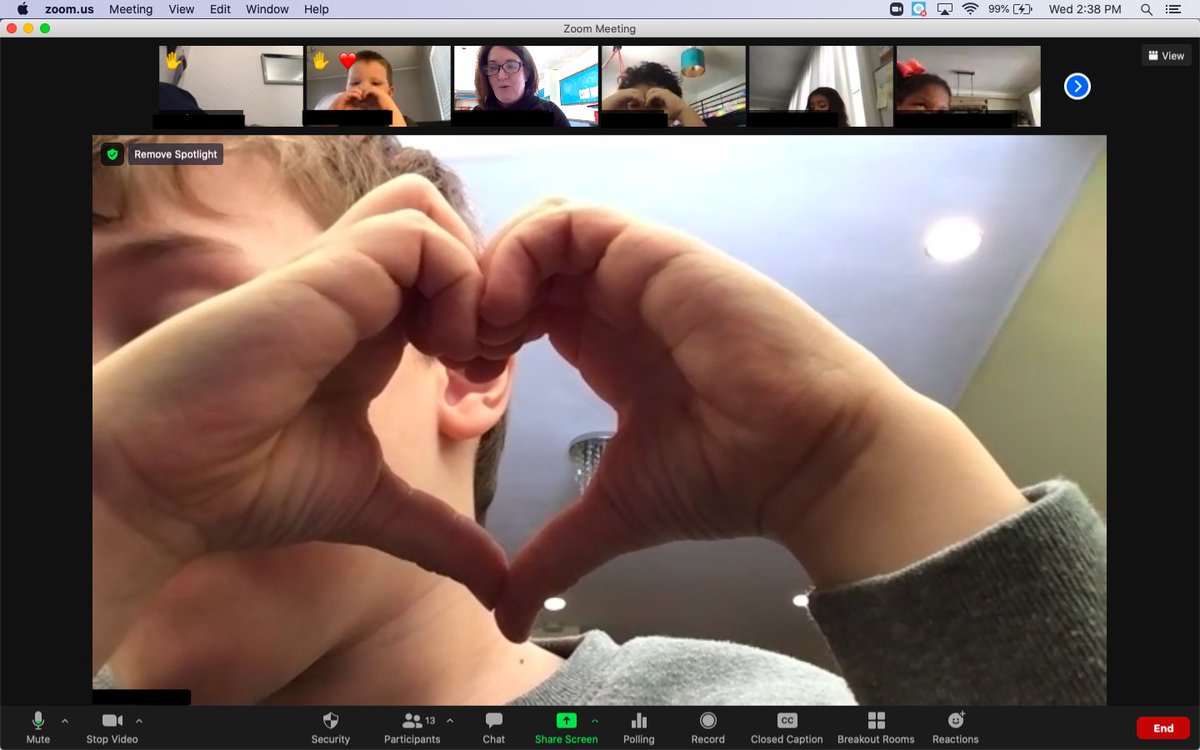 Lynne DesLauriers tweet media