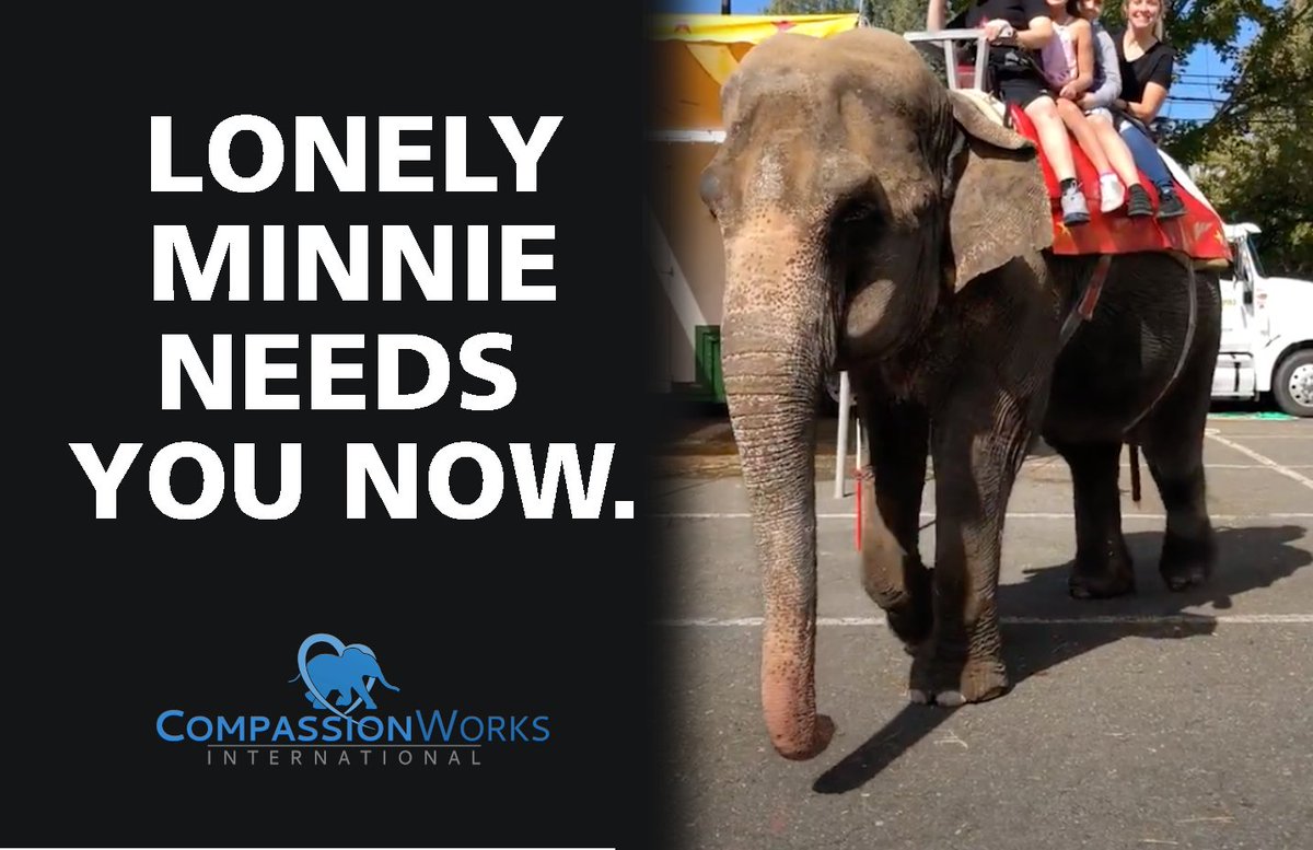 CircusProtest's tweet image. Sign, share, let everyone know.... #saveminnie

circusprotest.com/saveminnie change.org/saveminnie
