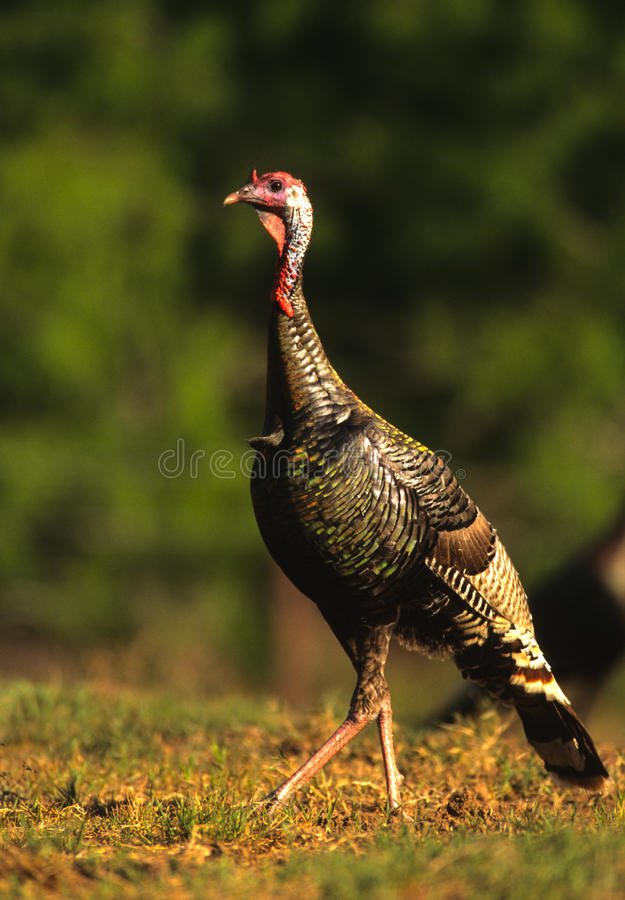 jacobbadding's tweet image. 