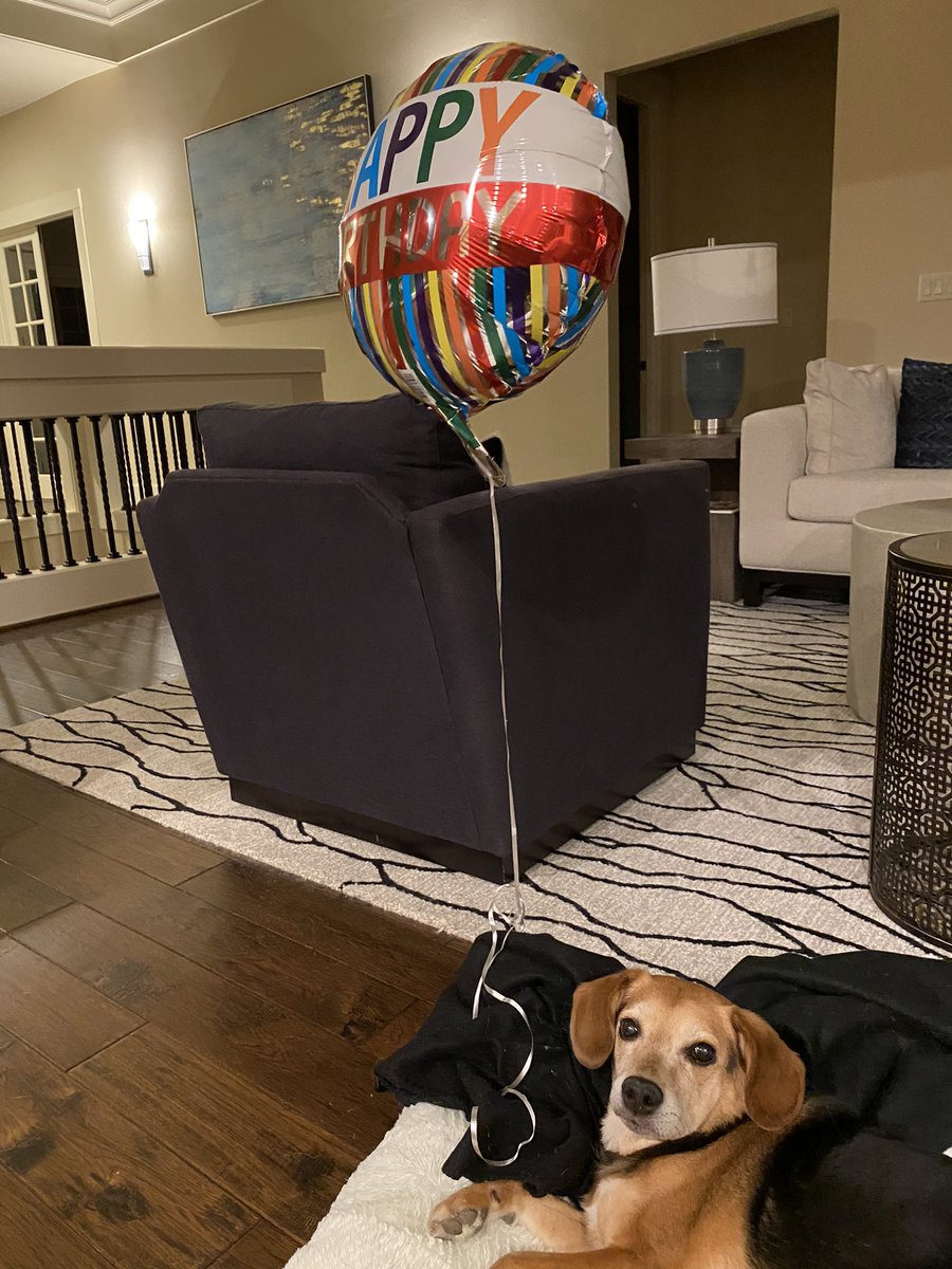 Vanessa Alvarez tweet media