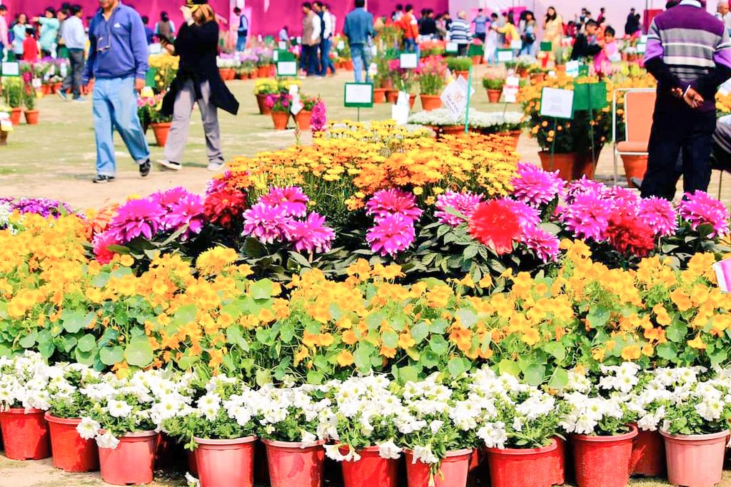 prchandna's tweet photo. @sachiv_phulera @noida_authority @TheFlowerWorld @abhaypandey01 @GarimaTri20 @DineshSAmethi @jskhural @vishnupsaini @manishsmooth @CeoNoida @swatiagrwlsingh @vinodsharmanbt @SkSnigdha @GirirajBahediya @Mukesh2121971 @narendramodi @myogiadityanath @RajKuma41788229 I❤️MyNoida
#NoidaFlowerShow2020
#Flowers
#flowerphotography
#PushkarPhotography
#MissingFlowerShow
@Secretary_MoHUA @ChiefSecyUP @AwasthiAwanishK
@HardeepSPuri @Gen_VKSingh @smritiirani @narendramodi @richaanirudh @maliniawasthi @AnamikaChaturv5 @IndiraPSarethy @PIB_India @toi https://t.co/D9xhPCG6HU