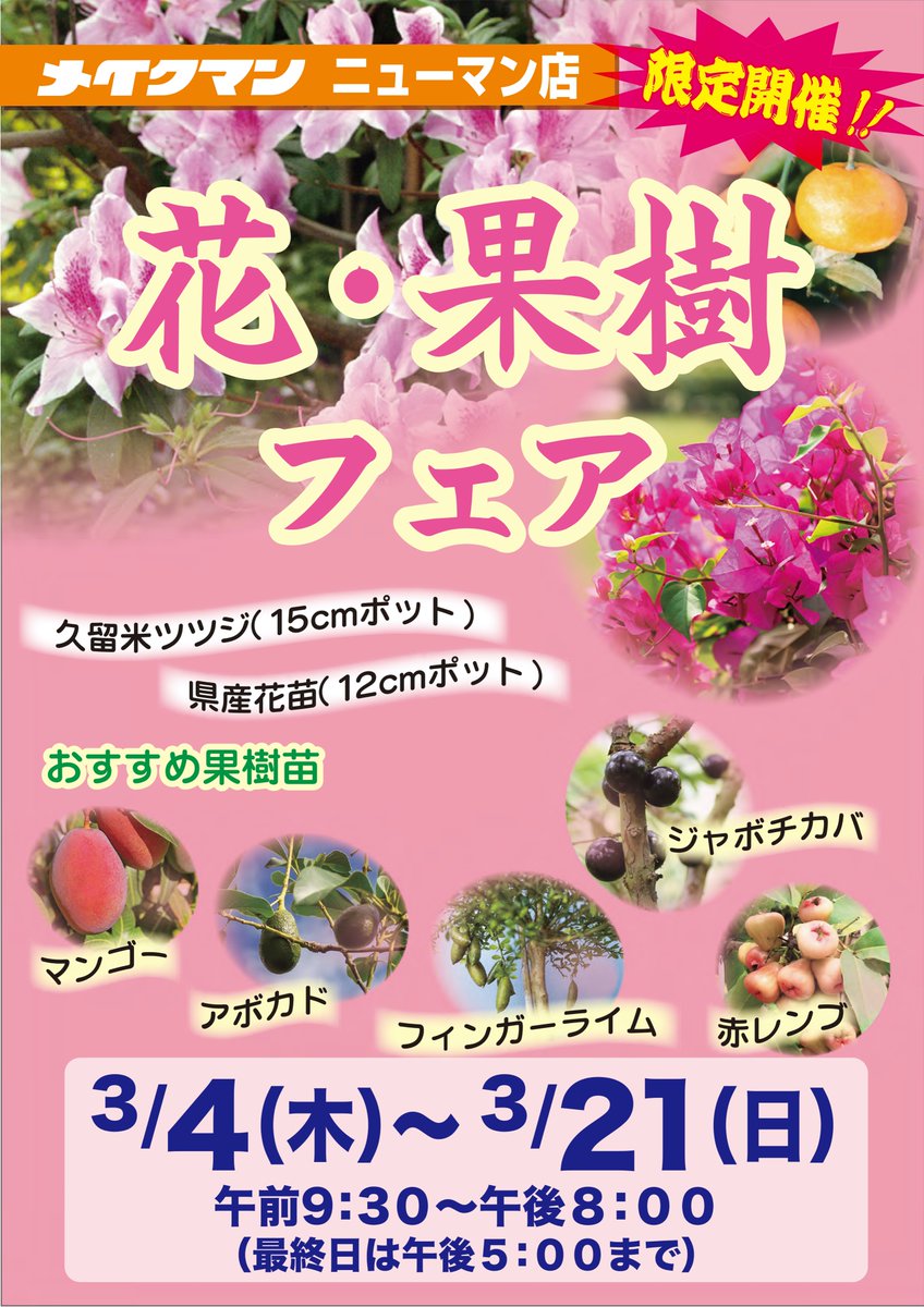 メイクマン ニューマン店限定 花 果樹フェア開催 マンゴー アボカド フィンガーライム ジャボチカバに赤レンブ おすすめ果樹苗から県産花苗まで勢揃い 期間 3月4日 木 3月21日 日 時間 午前9 30 午後8 00まで 最終日午後5時まで メイクマン ニューマン店限定 花 果樹フェア開催 マンゴー アボカド フィンガーライム ジャボチカバに赤レンブ おすすめ果樹苗から県産花苗まで勢揃い 期間 3月4日 木 3月21日 日 時間 午前9 30 午後8 00まで 最終日午後5時まで