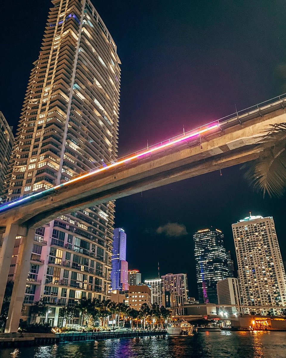 downtownMIA's tweet photo. #DowntownMiami nights 🤩
Photo by instagram user jessicaamyerss https://t.co/UP80g2N4dq