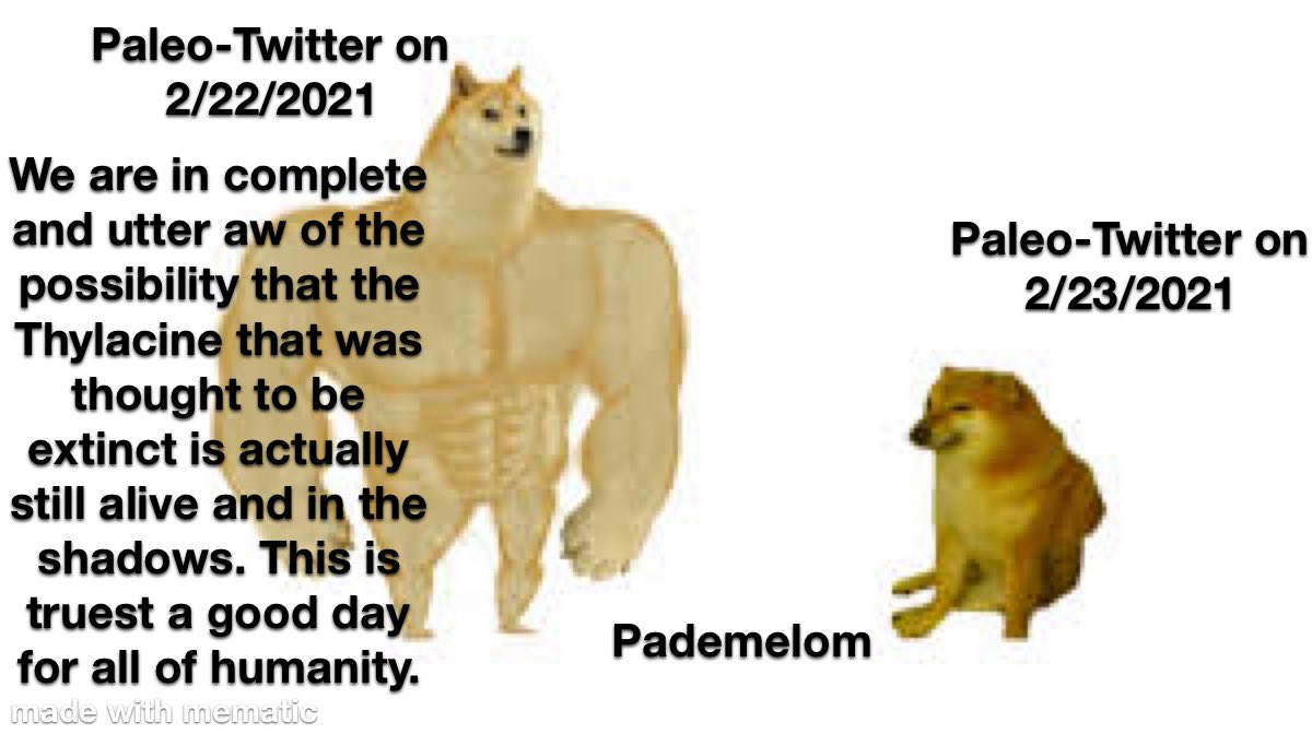 Melted Wax tweet media