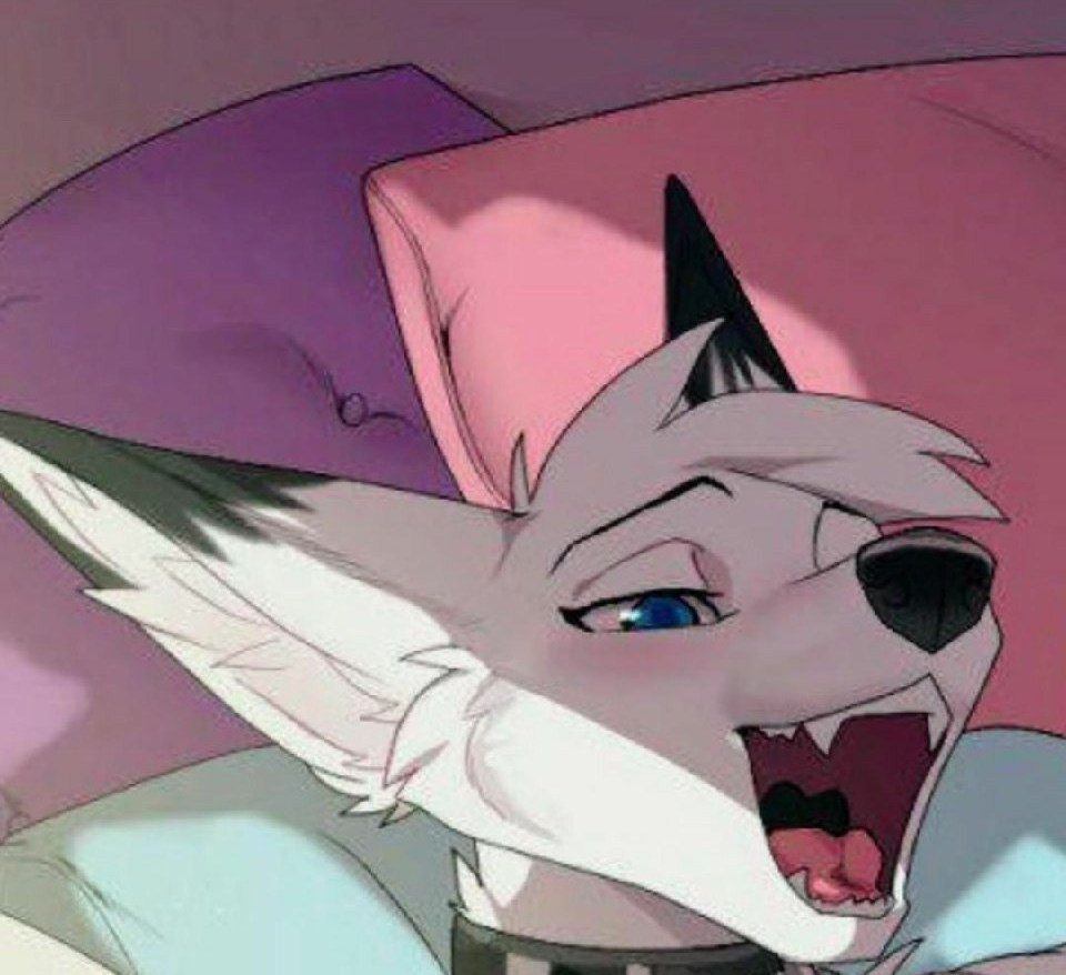 Cropped furry porn ❤️ Best adult photos at taiwanlin.org.tw