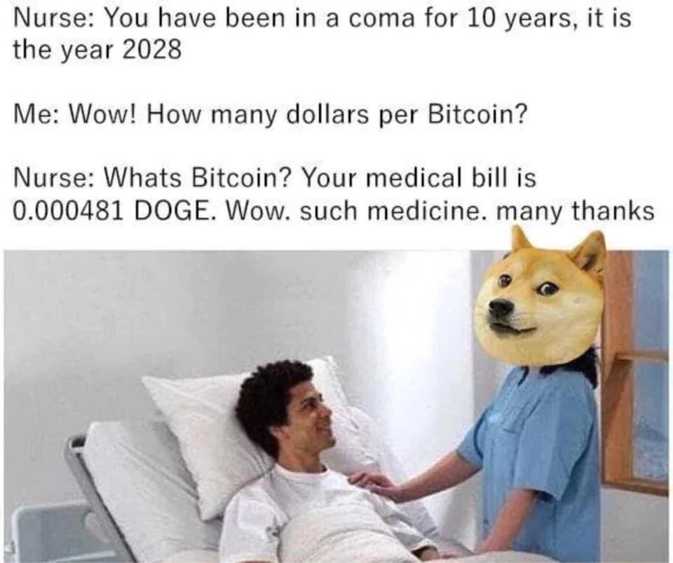 TradernevD's tweet photo. Doge coin
#ElonDOGE 
#DOGE 
#altcoins https://t.co/gaZWI5EGdL