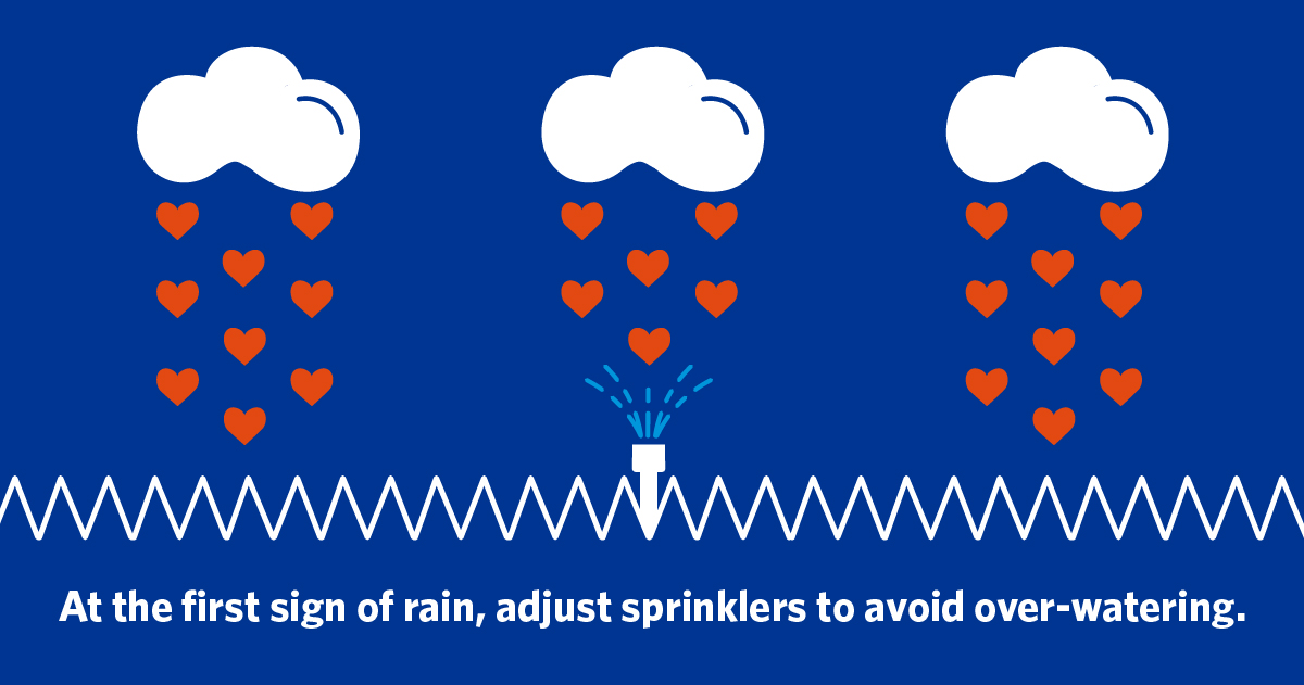 calwater's tweet photo. Valentine’s Day is long gone - but you can still show California some love by adjusting your sprinklers when it rains. #ConserveMyCalifornia #SaveWaterEveryDay https://t.co/cXAbc6jHWH
