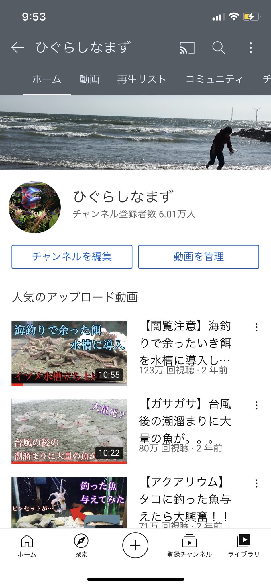 ひぐらしなまず アクアリウム Xj Kz Twitter
