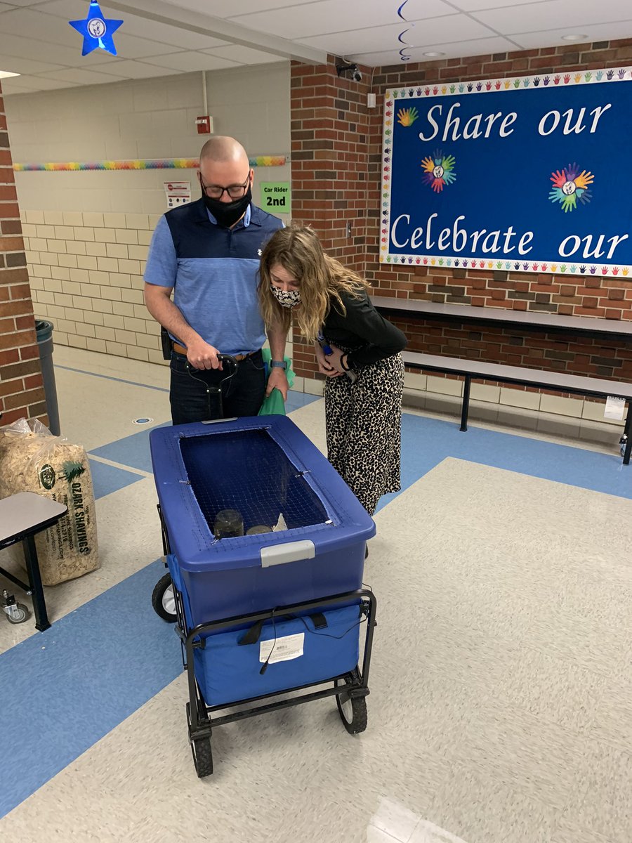 The BRE chicks are a huge hit. Henry asked if he could keep one as a pet.😳