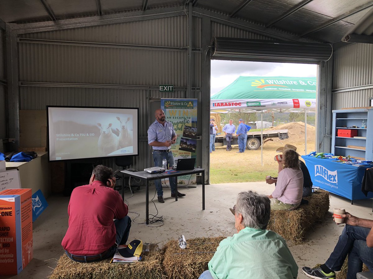 Area Sales Manager, Chris Richards seen here presenting at the Wilshire & Co field days at Deepwater, Tenterfield and Stanthorpe this week. Chris spoke about the benefits of utilising EID on Sheep and our Tissue Sampling Unit method and increasing genomic gains across flocks.