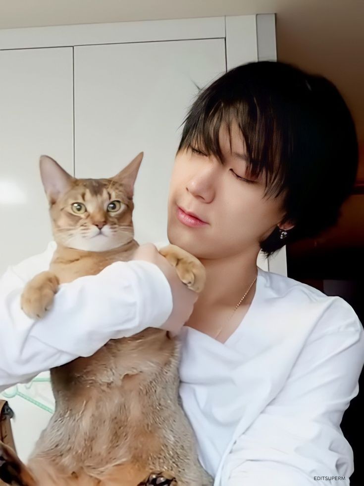 Mis gorditos, creo que debo ponerlos a dieta

                    —via ig—