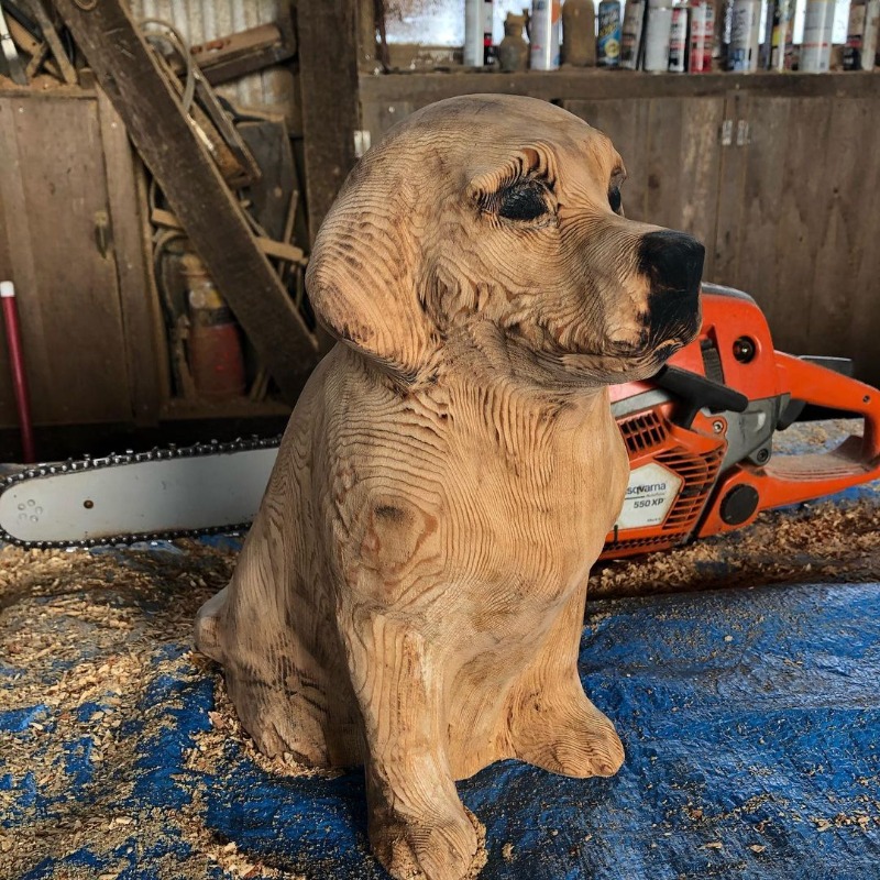WaterproofingD's tweet photo. When bark and bite come together to create a masterpiece! Check out what @ota_husai made using the 550XP Mark II!

#husqvarnaaustralia #550XPII #markII #husqvarnachainsaw #professional #woodart #sculptor #sculpture #art #wpdgroup #northernbeacheshusqvarna #northernbeacheslocal