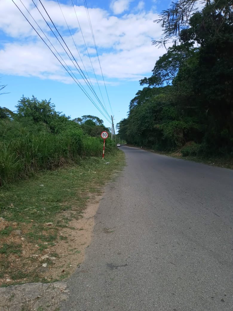 Tova_Hamilton's tweet photo. Did some work in the Constituency today. The consistent heavy rains have really caused significant overgrowth in our communities but we must do what we can to maintain the aesthetics of our space. 

#RoadtoRecovery #TrelawnyNorthern #LetsImproveOurCommunities #InchxInch https://t.co/8bk8iZrPeQ