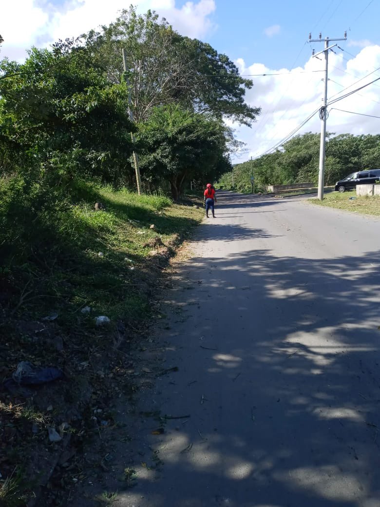 Tova_Hamilton's tweet photo. Did some work in the Constituency today. The consistent heavy rains have really caused significant overgrowth in our communities but we must do what we can to maintain the aesthetics of our space. 

#RoadtoRecovery #TrelawnyNorthern #LetsImproveOurCommunities #InchxInch https://t.co/8bk8iZrPeQ