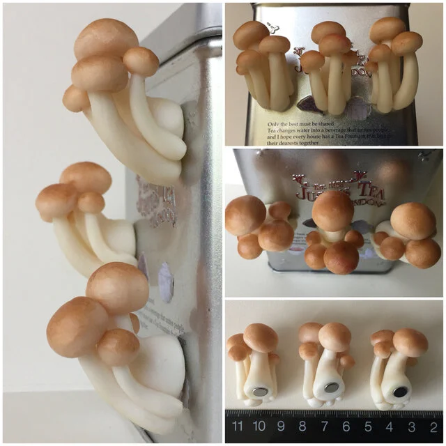 リアルなしめじのマグネットがおもしろい！冷蔵庫から生えているように見える！