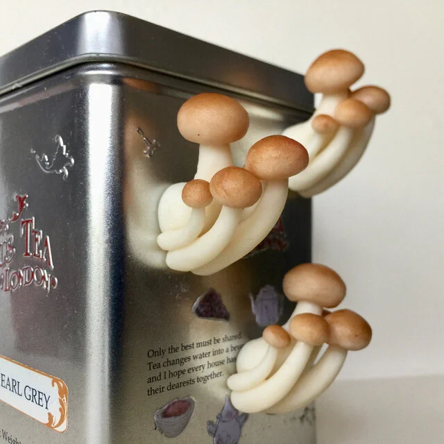 リアルなしめじのマグネットがおもしろい！冷蔵庫から生えているように見える！