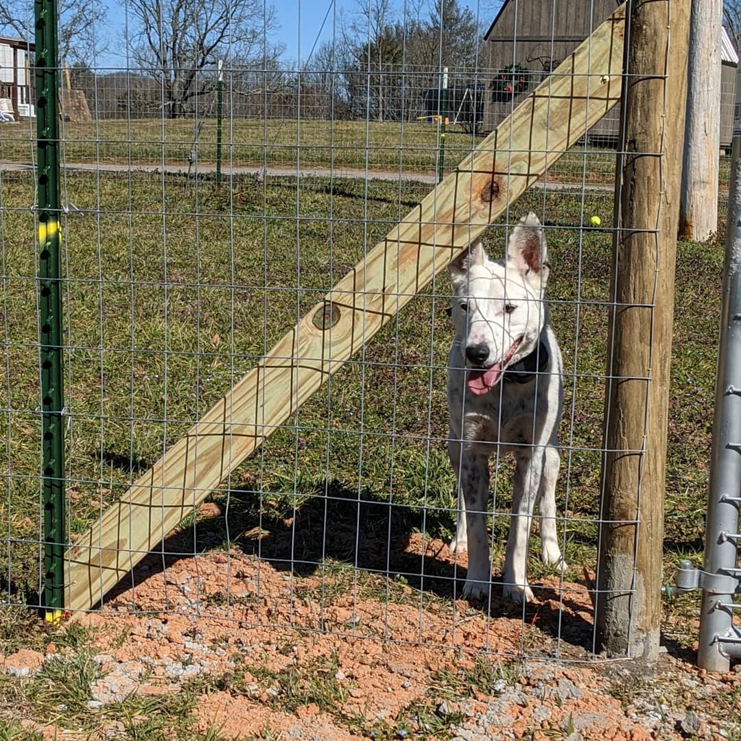 FreedomForFido's tweet photo. https://t.co/1c9YbJYnyW