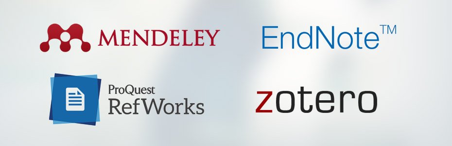 Gabriel Merino tweet media