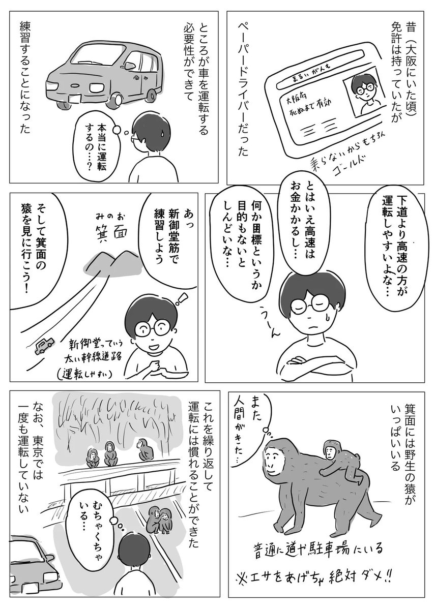 ずっとゴールド免許です(運転しないから) 
