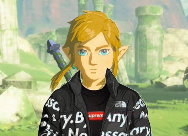 WHO LET LINK HAVE THIS MUCH SWAG