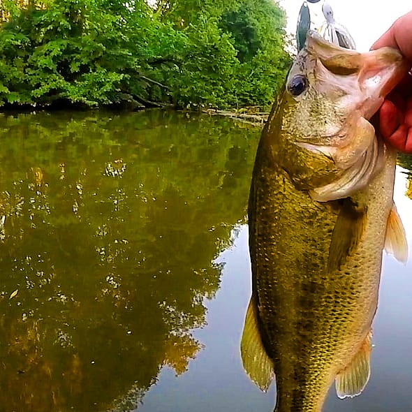 Frozen up here Onedia Lake Ny. Absolutely cant wait for spring!!!
#bassfishing #googanbaits