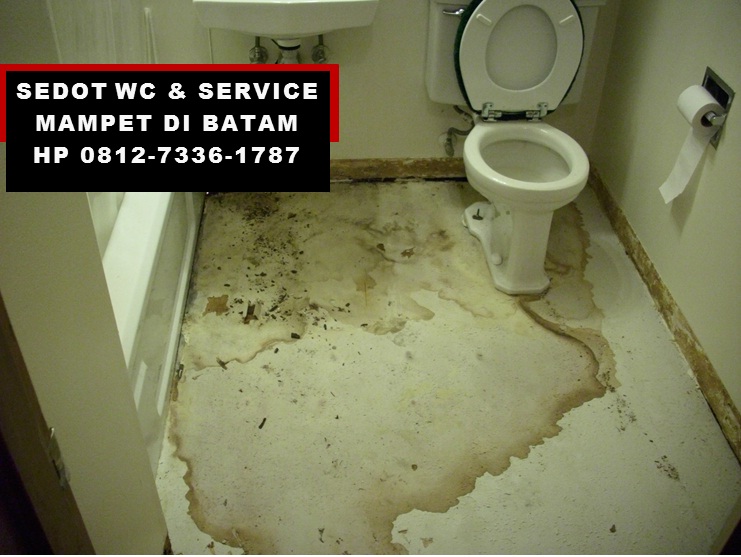 MotivatorProf's tweet image. 0812-7336-1787 Sedot WC Anti Mampet di Batam 

sedotinjabatam.blogspot.com/2019/08/biji-d…

#Nagoya #Tiban #Punggur #BatuAji #Sekupang #Sagulung #Bengkong #SedotWCBatam #Batam #SedotTinjaBatam #ServisMampetBatam #AntiMampetBatam #TinjaBatam #WCBatam #KebakaranJenggot #TokopediaWIB #Sekenskuy