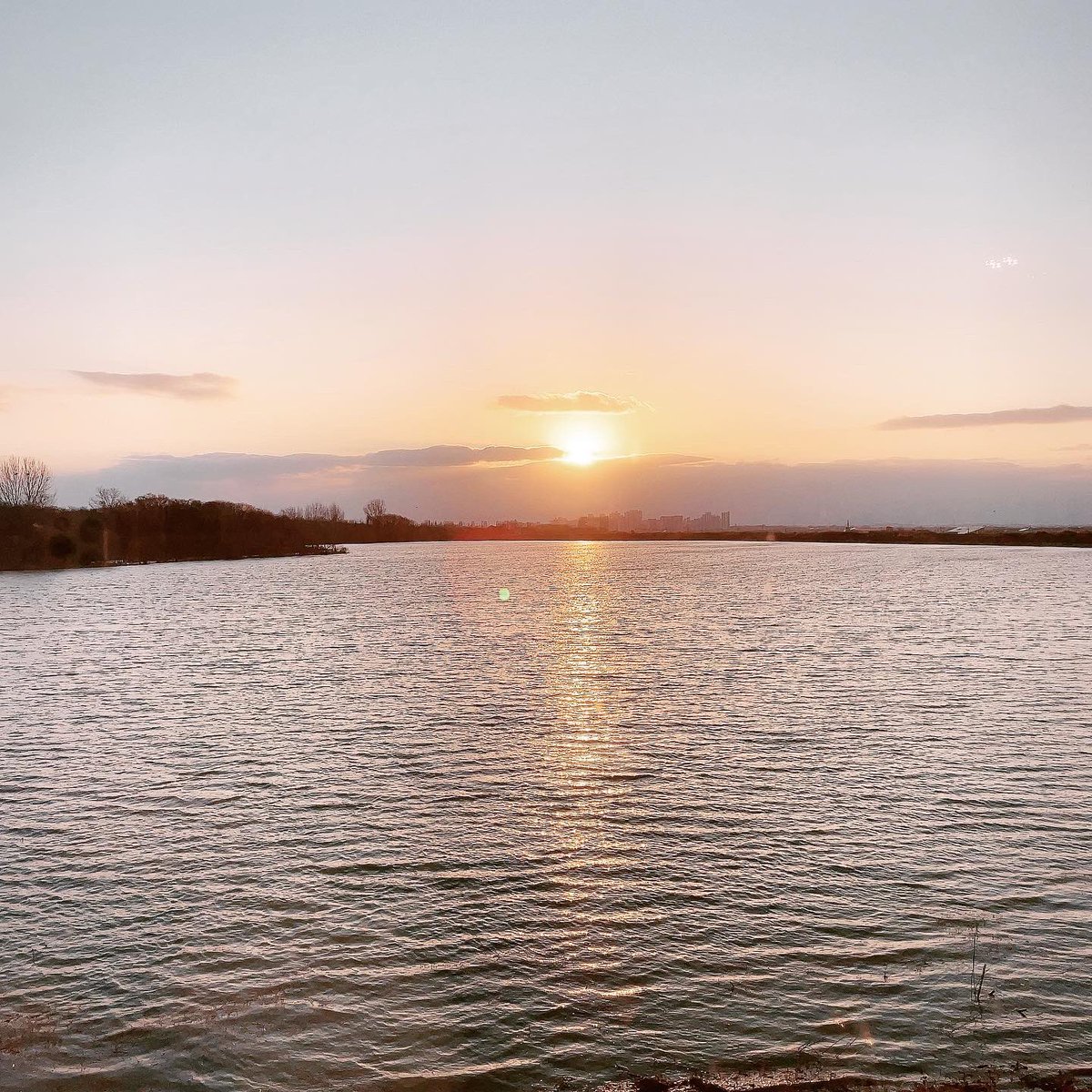 LiLa__Violet's tweet photo. .
요즘 해질녘이 그렇게 이쁘더라🌅💕 https://t.co/ECyKmL114f