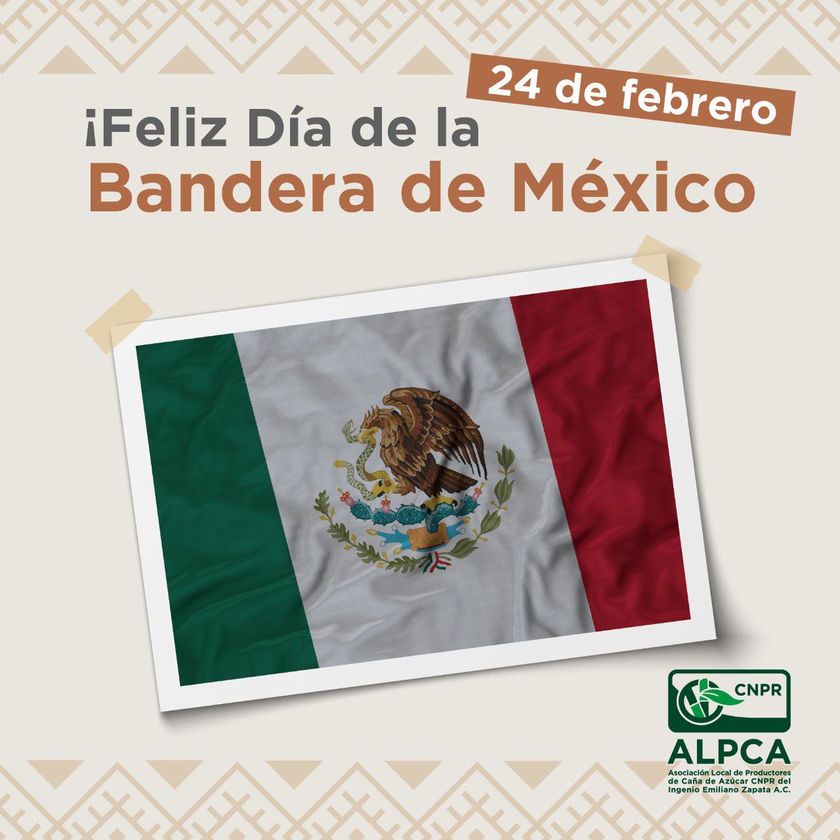PedroOcampoAlv1's tweet photo. Amo a mi bandera, amo a mi país, soy mexicano, donde quiera que me encuentre. En tu día mi bandera, queremos saludarte como un símbolo sagrado que cobija a nuestra nación Eres el reflejo de la lucha que hace muchos años nuestros mártires dieron por una nación libre y justa. https://t.co/uXuHWIX8en