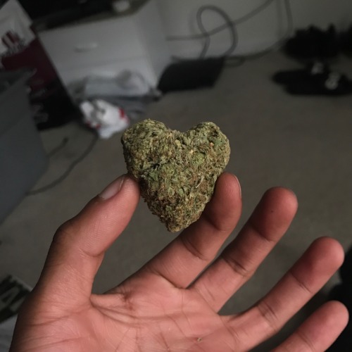 MaconheiroMemo's tweet photo. será que assim eu conquisto ela? https://t.co/VAwB6dVwAz