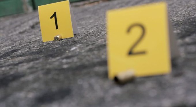 El Mundo Narco tweet media