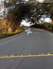 El Mundo Narco tweet media