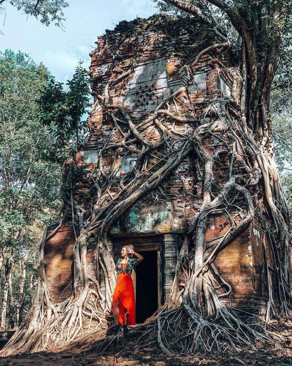 Among the many smaller temples found around Koh Ker, Prasat Pram (literally translated as "five temples") is a real highlight, consisting of 5 brick towers, of which 2 completely overgrown by strangler figs.
.
📸 Photo by <a href="/eternal/">Eternal</a>.soulshine (IG)
🌏 siemreap.net/visit/angkor/r…