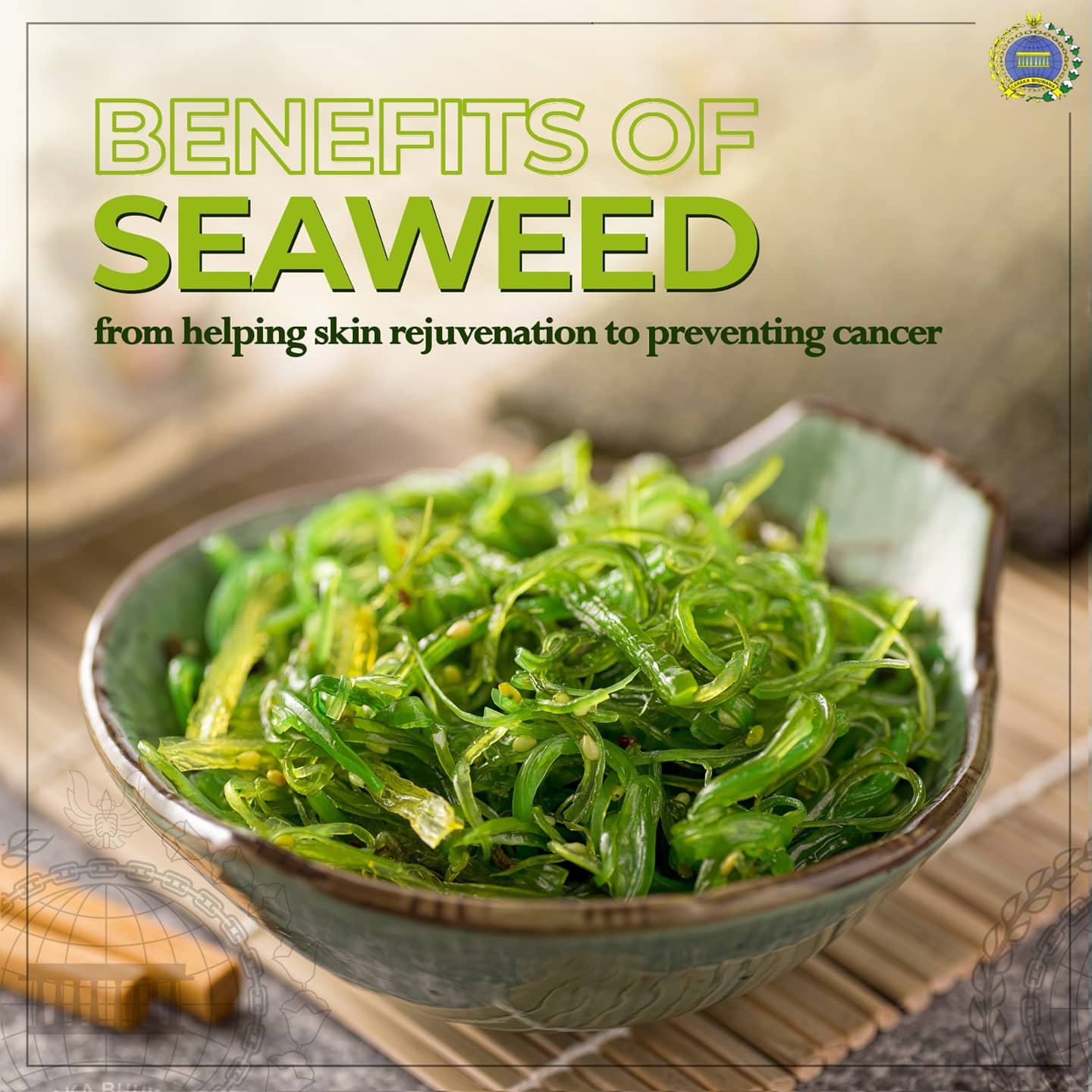 Seaweed producer 2024